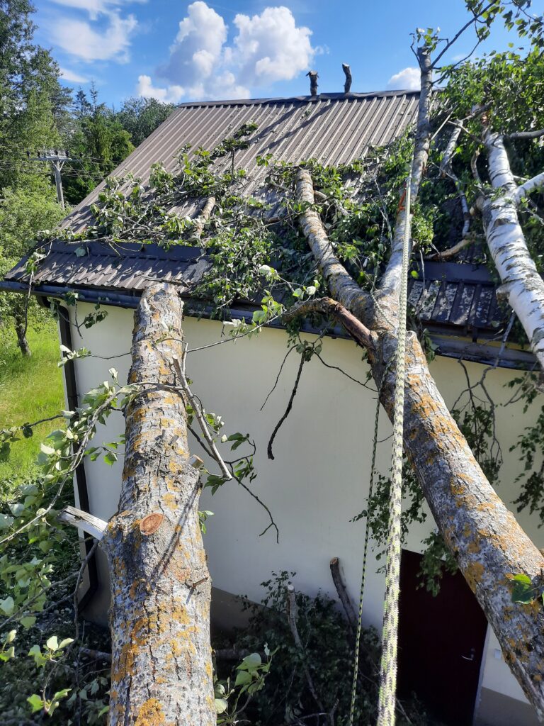 Tormikahjustus hoone katusel Rakveres – ohtlik kask ja pappel pärast tormi.