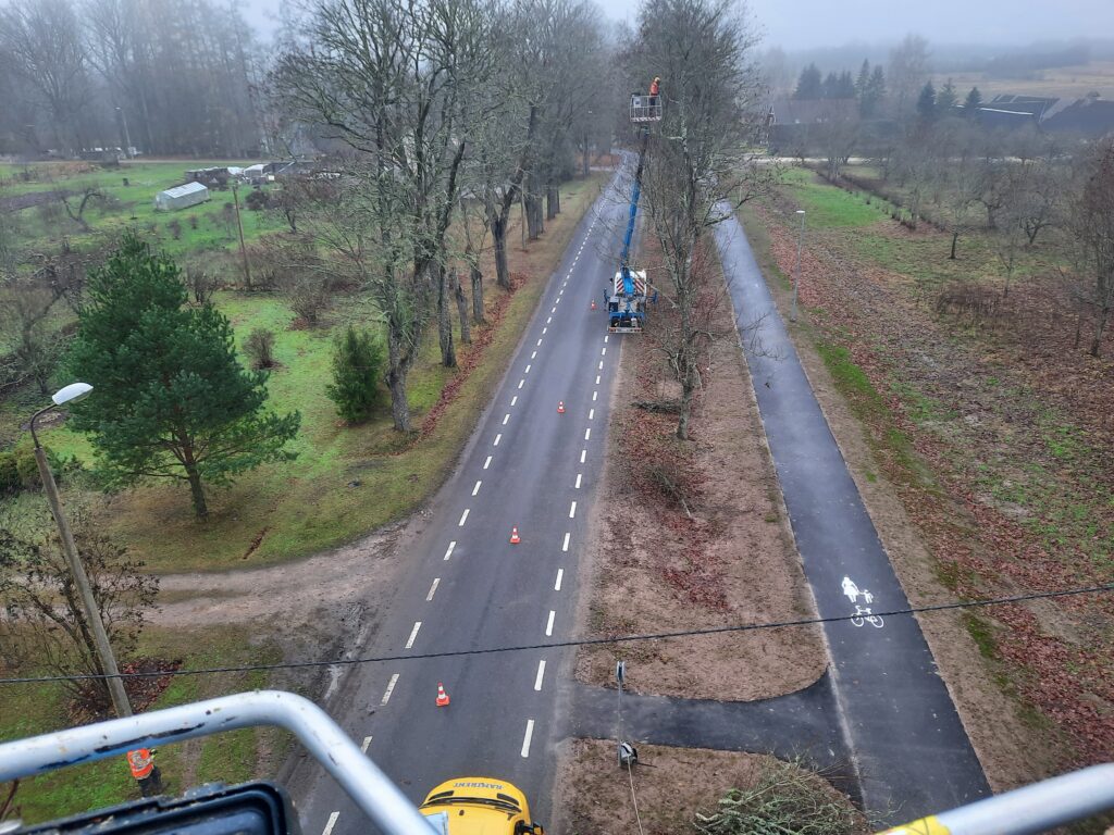 Arborist Tartu alleel ohtlikke puid hooldamas korvtõstukiga
