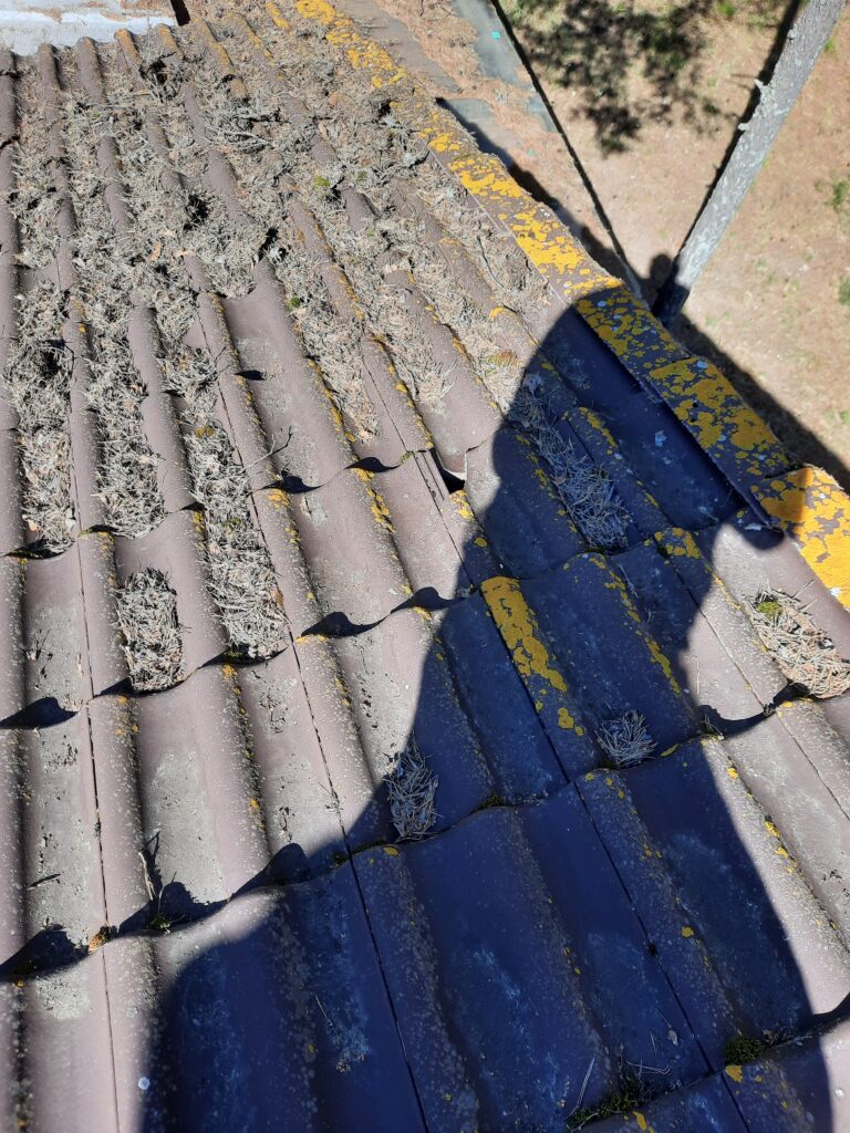 Terviklik kinnisvarahooldus ja välialade korrashoid Tallinnas ja Tartus