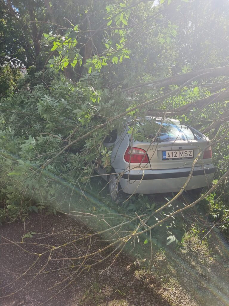 Arborist Tallinnas likvideerimas tormikahjustust autol korteriühistu hoovis