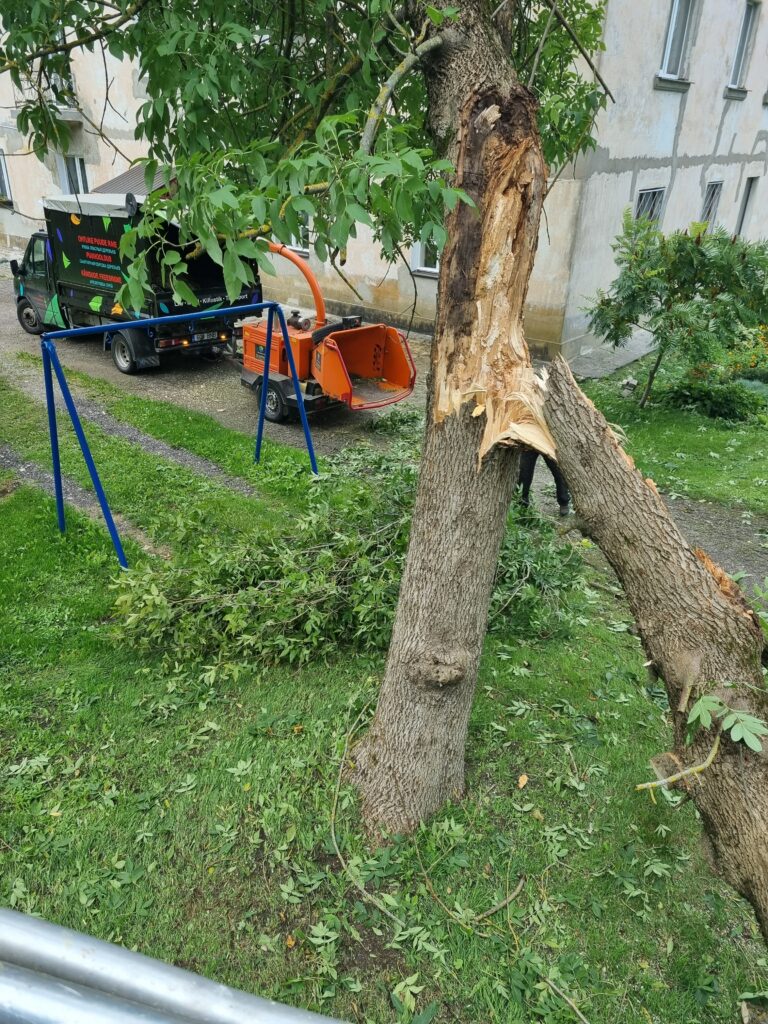 Ohtliku puu langetamine ja okste purustamine hakkuriga – ArborWorks arborist Tallinnas