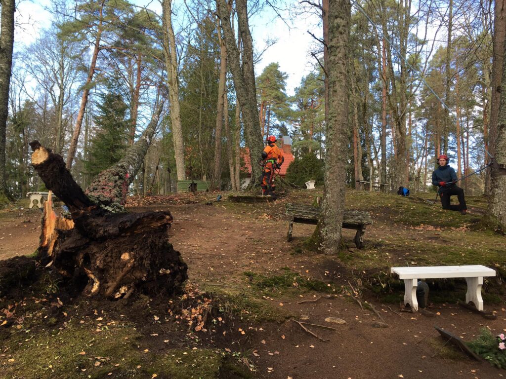 Terviklik kinnisvarahooldus ja välialade korrashoid Tallinnas ja Tartus