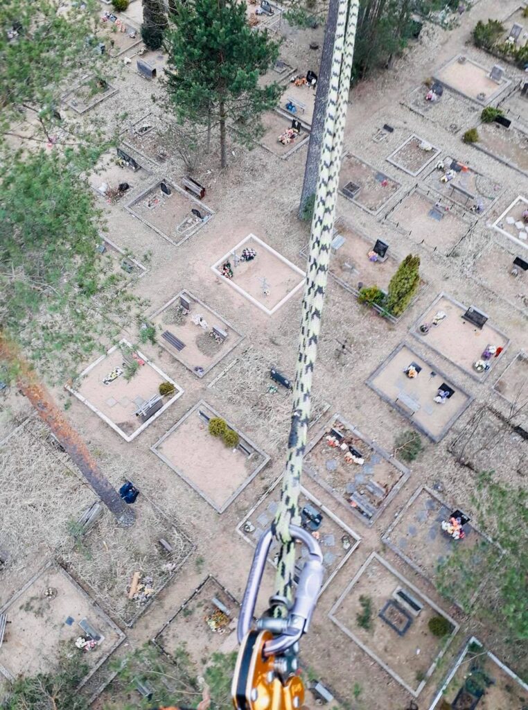 Arborist Ida-Virumaal teostamas ohtliku puu sektsioonilist langetamist rigging-meetodil.