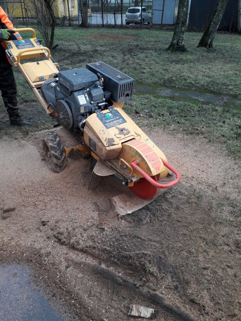 Terviklik kinnisvarahooldus ja välialade korrashoid Tallinnas ja Tartus